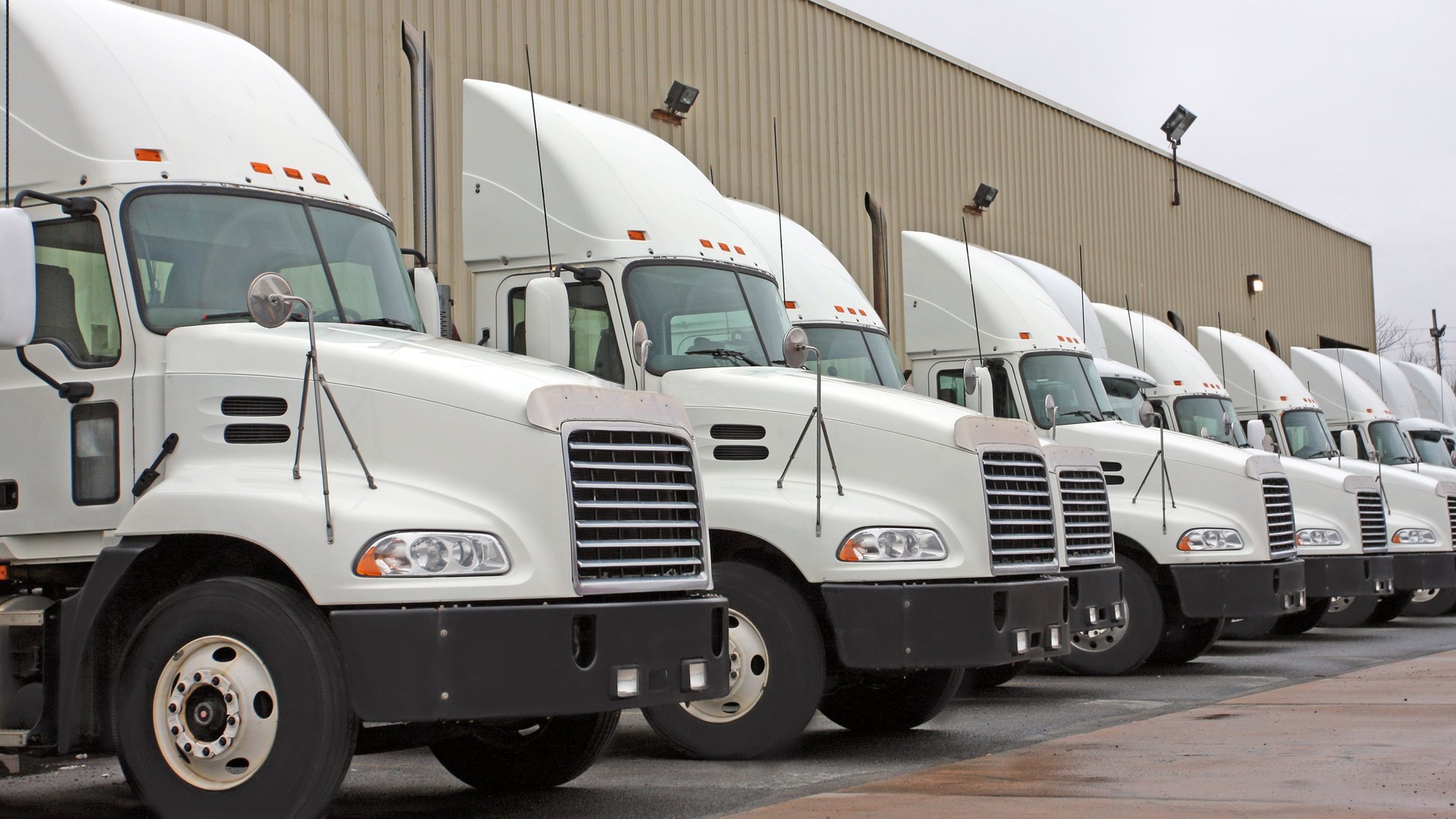 Semi Truck Cabs, In A Row